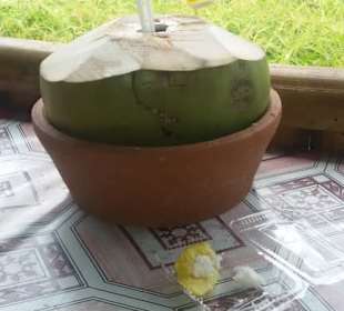 Kelapa