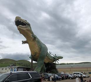 Royal Tyrrell Museum