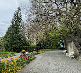 Blumeninsel Mainau