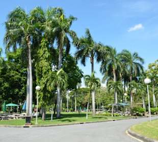 Lumphini Park