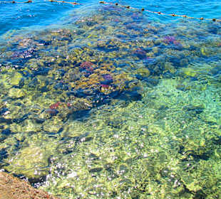 Das Hausriff bei Blue Water 