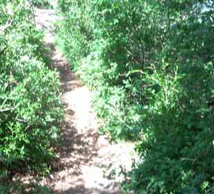 Premiumwanderweg "hochgelegen"