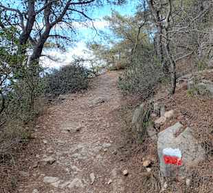 Wandern L'Ametlla de Mar