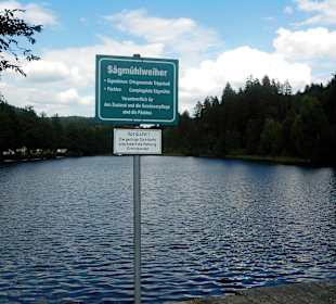 Sägmühlweiher bei Trippstadt, KL, im Pfälzer Wald 