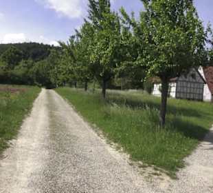 Hohenloher Freilandmuseum