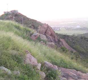 Lookout