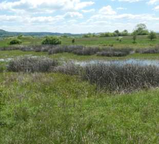 Eindruck vom Spaziergang Ostheimer Streifberg-Tour