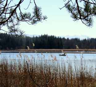 Am Fohnsee / Ostersee