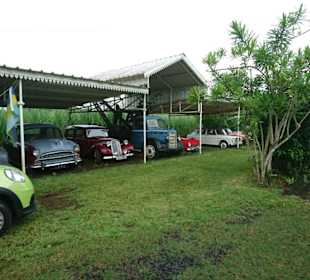 Und noch mehr Oldies