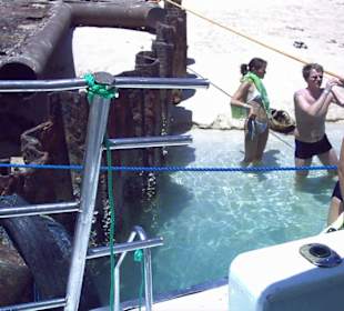 Barrakuda -Landausflug-Anleger des Grauens 