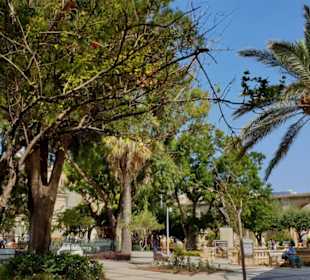 Upper Barakka Garden