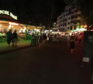 Stadtrundgang Sonnenstrand