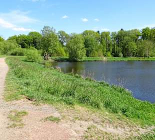 Impressionen vom Rundgang um den Klostersee