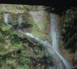 Naturparkzentrum Ruhestein