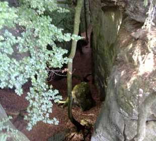 Kleine Luxemburger Schweiz bei Echternach