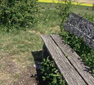 Premiumwanderweg Hochgehschätzt