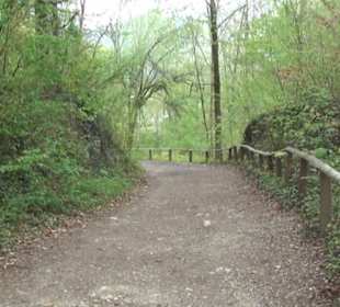 Südamerika Bereich - Naturbelassener Rundweg