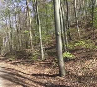 Wanderweg Hochgehkämpft