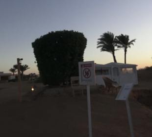 Zeytouna Beach