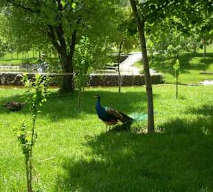 Isparta Gökçay Park