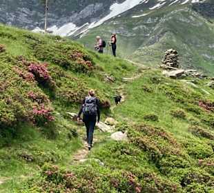 Wandern Moso in Passiria / Moos in Passeier
