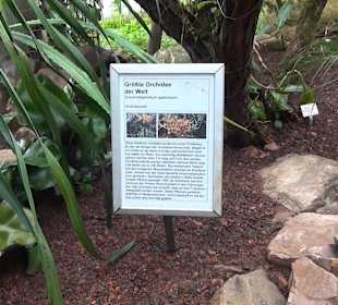 Tropicarium - Feuchte Tropen