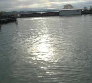 Hafen Friedrichshafen