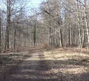 Premiumwanderweg Hohenwittlingensteig