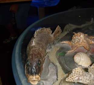 Sindbad Submarine - Wartebereich