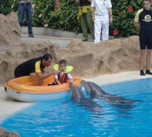 Sicher ein tolles Erlebnis für den Jungen