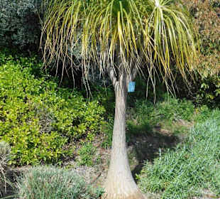 Jardim de São Martinho