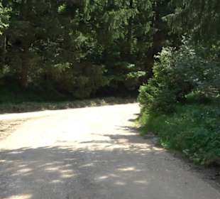 Wanderung Froschteich-Tour