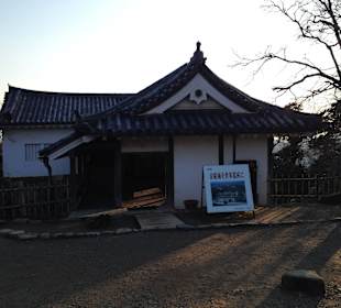 Hikone castle and surrounding garden