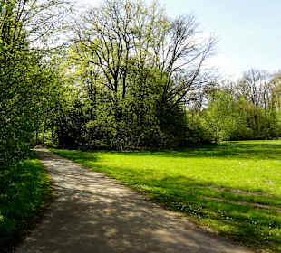 Spaziergang durch den Bremer Stadtwald