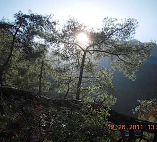 Wandern im Nationalpark