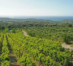 Agreco Farm