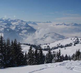Nebelmeer