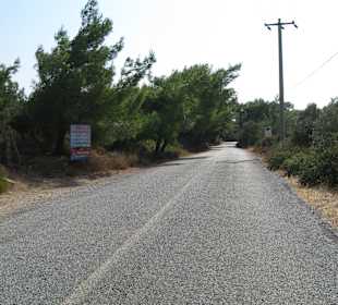 Weg nach Teos - Grün beginnt