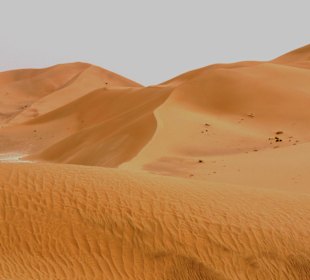 Rub Al Khali bei Al Hashman