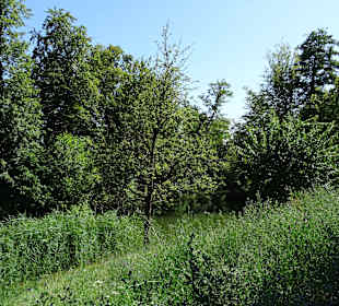 Wasserschloss Oppenweiler