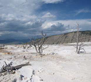 White Elephant Back Terrace