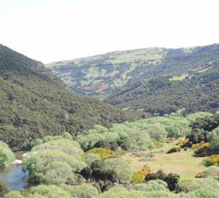 Mit der Taieri Railway durch die Natur Neuselands