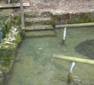 Lichtenstein, Reißenbachquelle