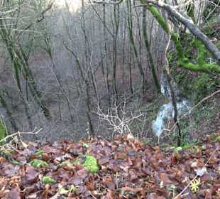 Gustav-Jakob Höhle Grabenstetten