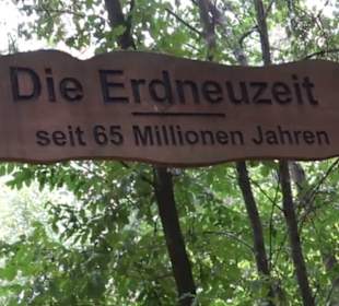 Dinosaurier Museum Altmühltal