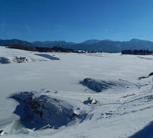 Der Forggensee im Winterschlaf