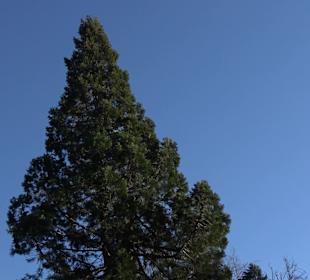Wanderung rund um den Ochsenweiher
