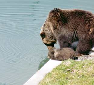 Gemeinsam mit mutter trinken