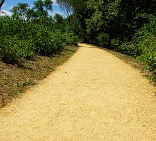 Die Wege sehr schön 