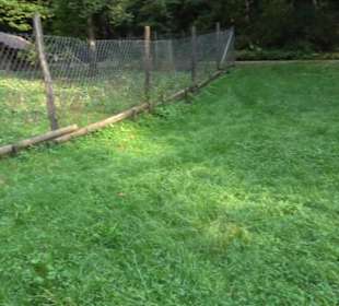 Altwege Rundwanderung Bebenhausen